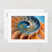 はがき – Fibonacci Shells (正面/裏面)