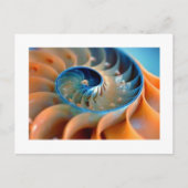 はがき – Fibonacci Shells (正面)