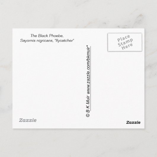 はがき – Flycatcher (裏面)