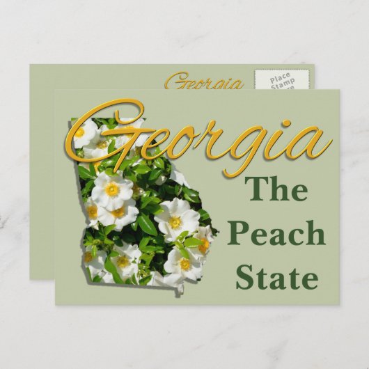 はがき – GEORGIA (正面/裏面)