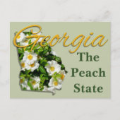 はがき – GEORGIA (正面)