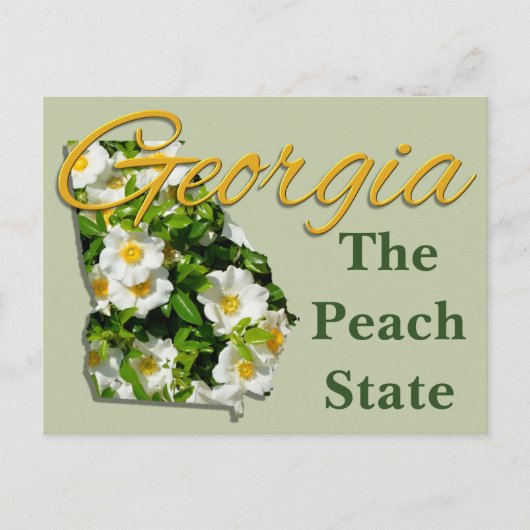 はがき – GEORGIA (正面)