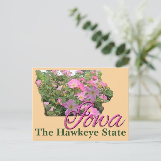 はがき – IOWA (スタンド正面)