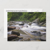 はがき – Little Pigion River、Smoky Mtns素晴らし。  (正面/裏面)