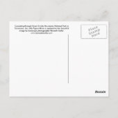 はがき – Little Pigion River、Smoky Mtns素晴らし。  (裏面)