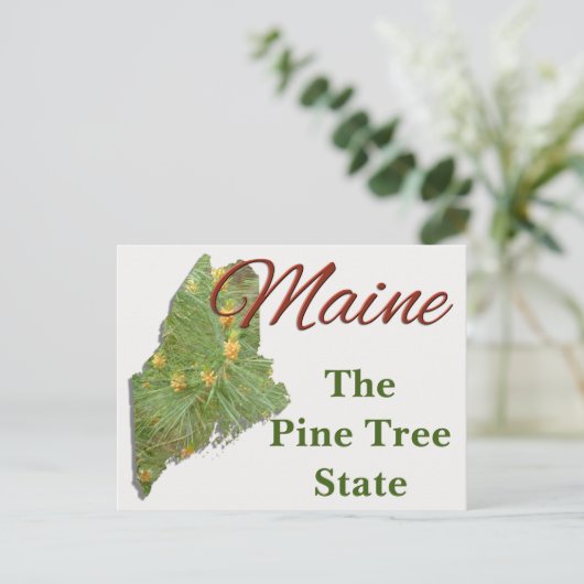 はがき – MAINE (スタンド正面)