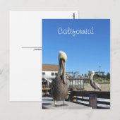 はがき – Pelicans on Pier (正面/裏面)