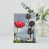 はがき – Poppy Atheisations (スタンド正面)