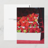 はがき – Slawberryバスケット(vrt) (正面/裏面)