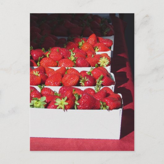 はがき – Slawberryバスケット(vrt) (正面)