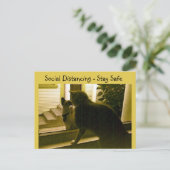 はがき – Social Distancing Cats (スタンド正面)