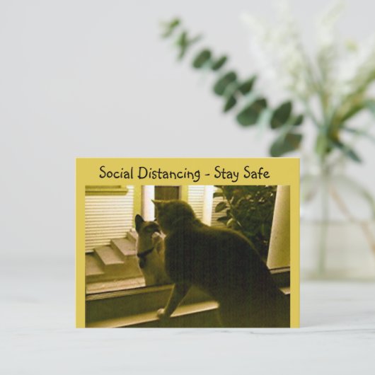 はがき – Social Distancing Cats (スタンド正面)