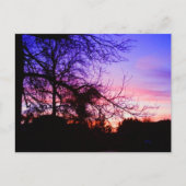 はがき – SUNSET ON RIVERTON (正面)