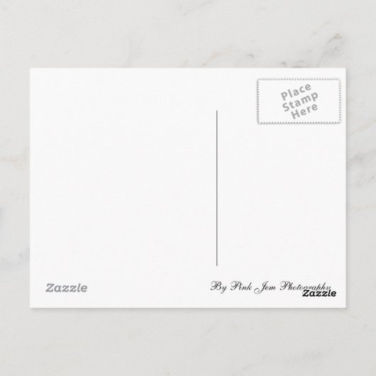 はがき – Swan (裏面)