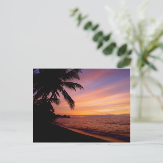 はがき – Waialua Sunset (スタンド正面)