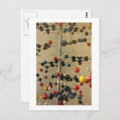 はがきDNAモデル ポストカード (正面/裏面)