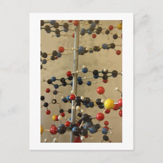 はがきDNAモデル ポストカード (正面)