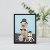 はがフォーマルき ポストカード (スタンド正面)