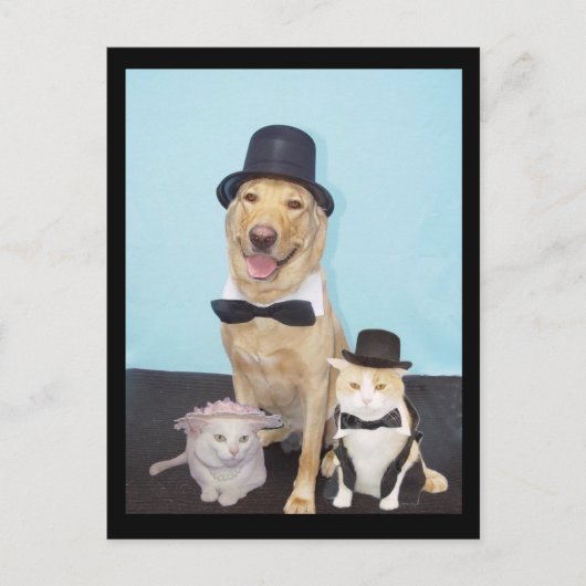 はがフォーマルき ポストカード (正面)