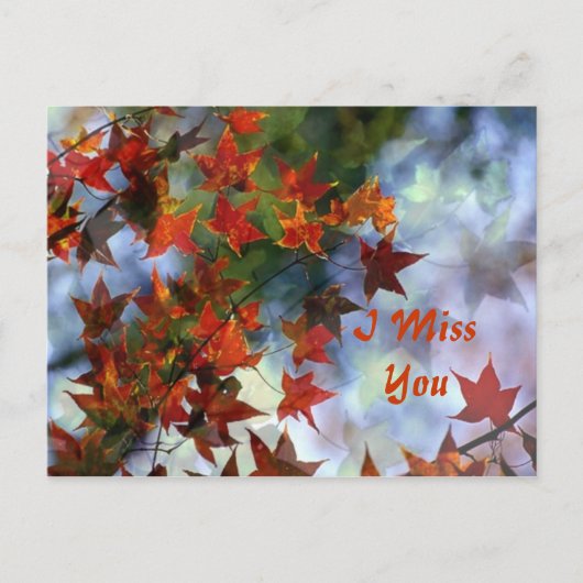 はが恋しく思き ポストカード (正面)