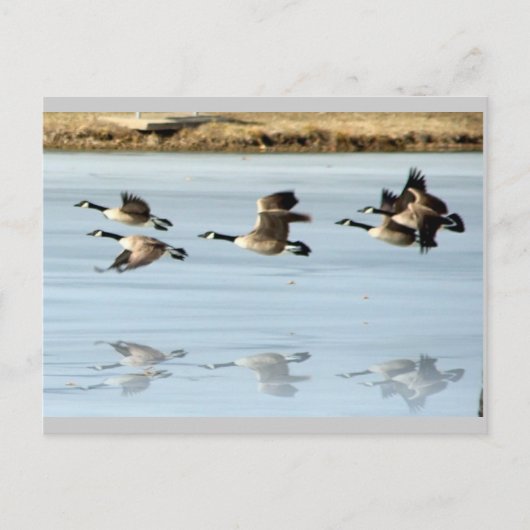 はが恋しく思き ポストカード (正面)