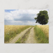 はが来き ポストカード (正面)