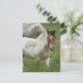 はが絵を描き ポストカード (スタンド正面)