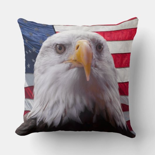 はげた鷲と国旗 クッション (正面)