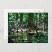 はげヒノキ湿地ポストカード ポストカード (正面/裏面)