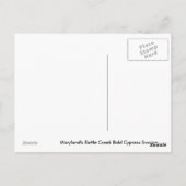 はげヒノキ湿地ポストカード ポストカード (裏面)