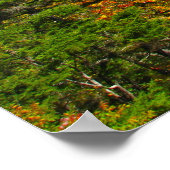 はげ山の見張り ポスター (角)