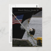 はげ鷲が係留線に止まったオランダ港 ポストカード (正面/裏面)