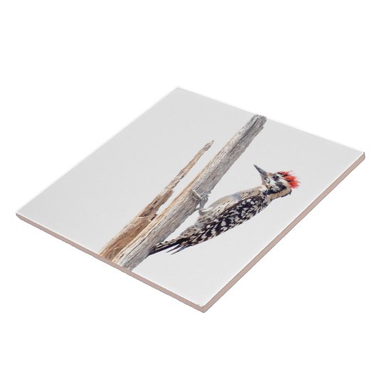 はしごのついたキツツキ タイル (側面)