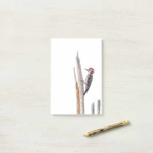 はしご背 ポストイット (デスク上)