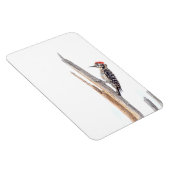 はしご背 マグネット (右側)