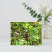 はすけの写真に描かれるトンボ、青いトンボ ポストカード (スタンド正面)