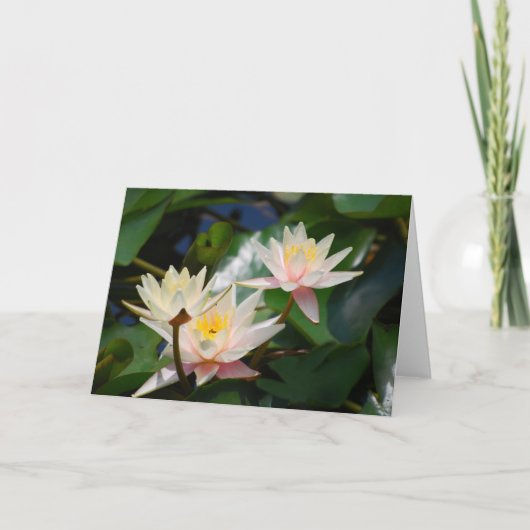 はすの花および意味 シーズンカード (正面)