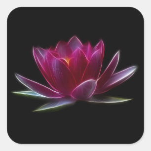 はすの花の水生植物 スクエアシール