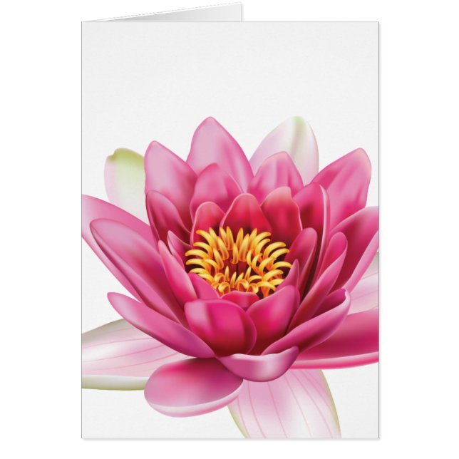 はすの花 (正面)