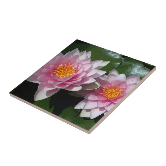 はすの花 タイル (側面)