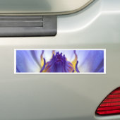 はすの花 バンパーステッカー (車上)