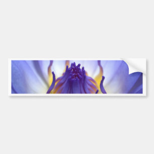 はすの花 バンパーステッカー