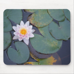 はすの花 マウスパッド