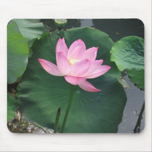 はすの花 マウスパッド