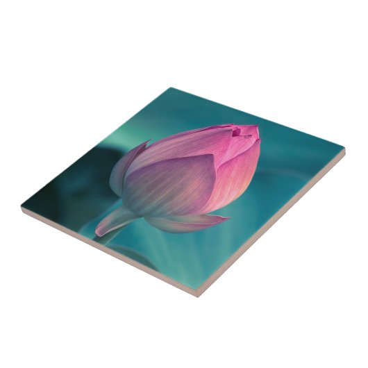 はすスイレンの花 タイル (側面)