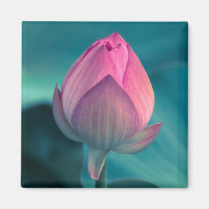 はすスイレンの花 マグネット