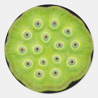 はすポッドのステッカー ラウンドシール