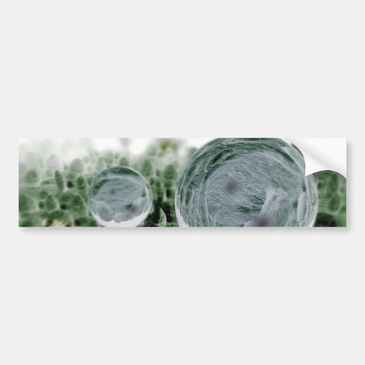 はす効果の高水Repellency バンパーステッカー (正面)