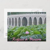 はす池反映橋アーチ ポストカード (正面/裏面)