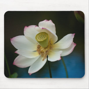 はす花のマウスパッド マウスパッド